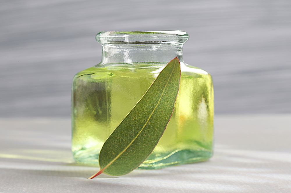Essential Oils That are Toxic for Cats