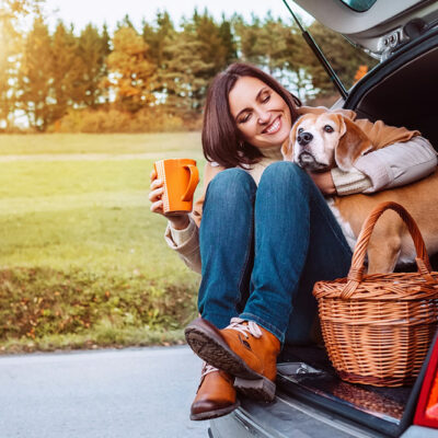6 Useful Tips for Pet-friendly Road Trips