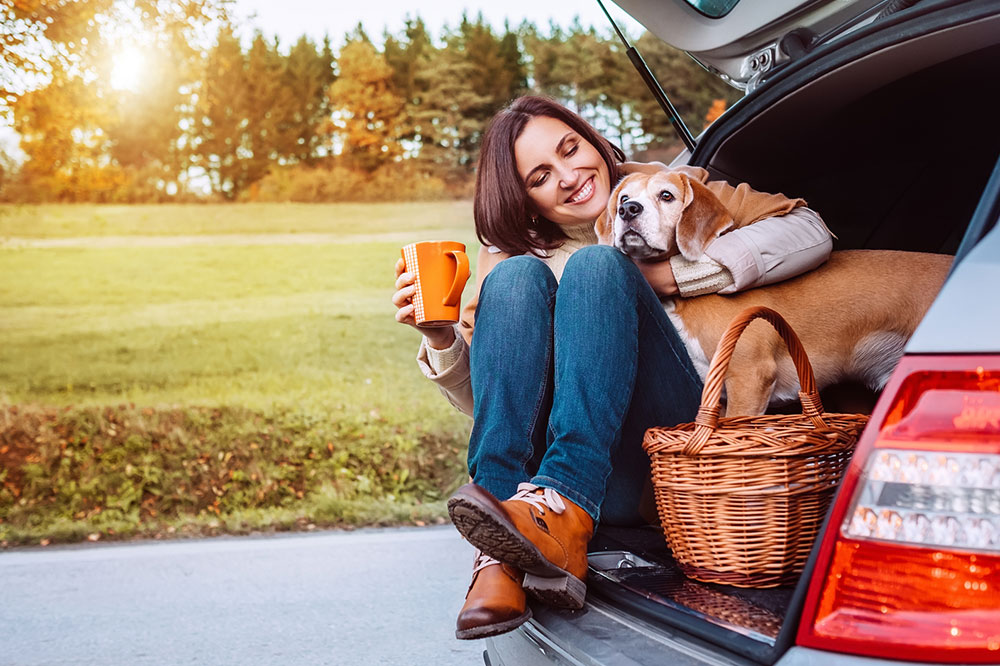 6 Useful Tips for Pet-friendly Road Trips